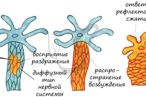 Кракен зеркало ссылка онлайн