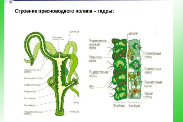 Ссылка кракен официальная тор