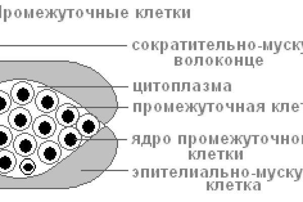 Kraken даркнет рынок ссылка