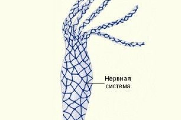 Кракен сайт даркнет зеркало